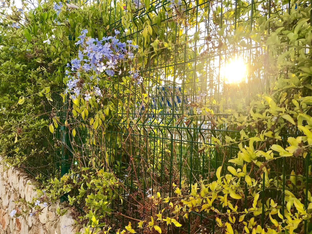 Апартаменты Marina Garden By Ethnic Ocean Виламура Экстерьер фото